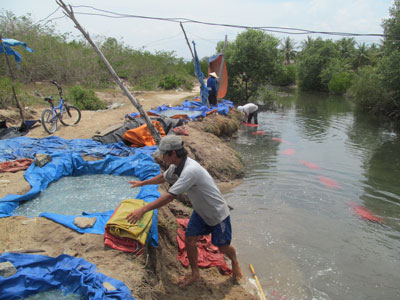 Nhiều hồ chế biến đổ nước thải gây ô nhiễm. 