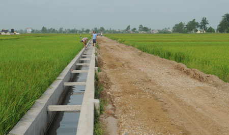 Miễn thủy lợi phí một số trường hợp từ ngày 26-5