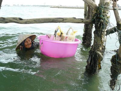 Câu chuyện có hậu về cụ bà mò nghêu nuôi con tâm thần