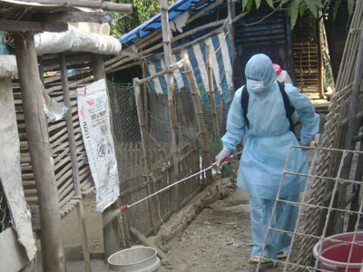 Tăng cường phòng, chống dịch cúm gia cầm