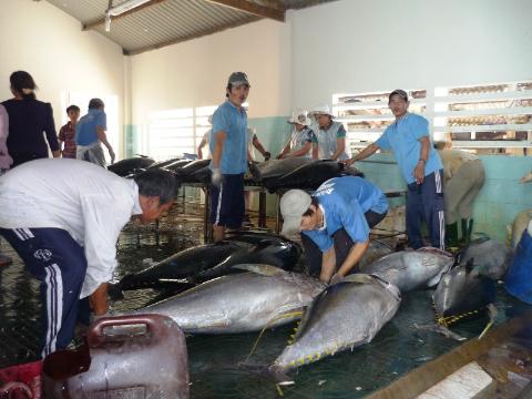 Nguyên nhân và giải pháp