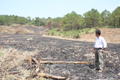 Nan giải bài toán bóc tách đất rừng