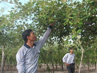 Chung tay nỗ lực giảm nghèo