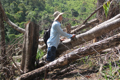 66 năm, từ Báo Thắng đến Báo Khánh Hòa...
