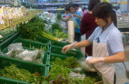 Lạm phát Việt Nam 2013 sẽ ở mức 6-8%