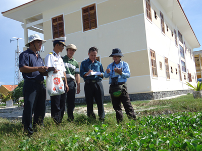 Các nhà khoa học khảo sát thềm thực vật trên đảo.