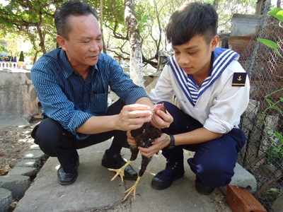 Nghiên cứu các loại rau xanh trên đảo Sinh Tồn.   