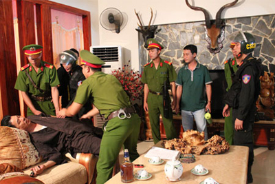 Càng xem càng kịch tính