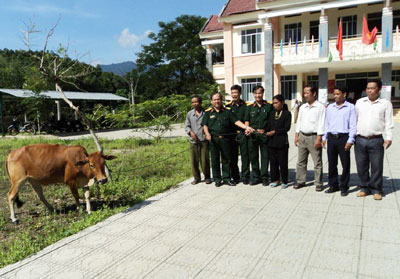 Tặng bò cho đồng bào dân tộc thiểu số