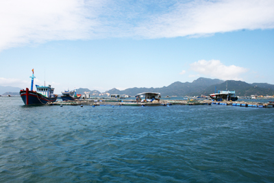 Nâng tầm cho Cam Ranh