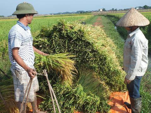Lập sàn giao dịch sáng chế của nhà nông