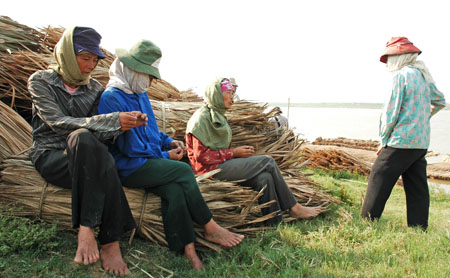 Hè năm nay ít khả năng xảy ra nắng nóng kỷ lục