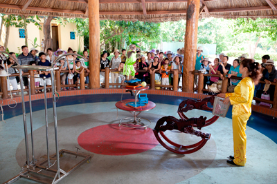 Nhiều hoạt động thú vị tại Vinpearl Land ngày 1-6