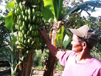 Thủ lĩnh của buôn làng
