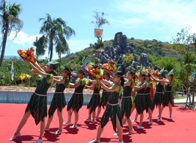 Tour Lễ hội Hoa Quả Sơn ở Đảo Khỉ