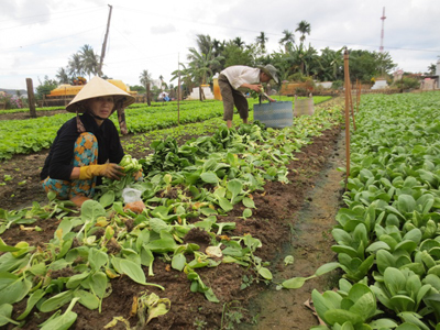 Bài viết chi tiết