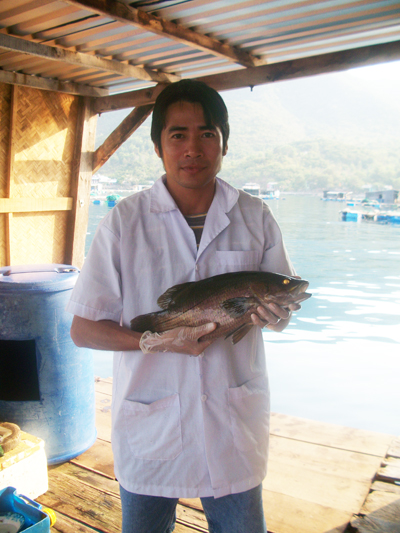 Chuyên gia về “tinh binh” cá biển