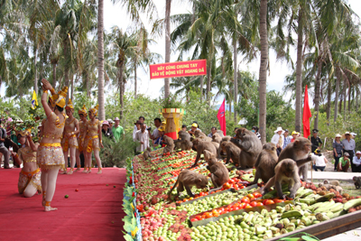 Tiệc Buffet trái cây dành cho các chú khỉ.