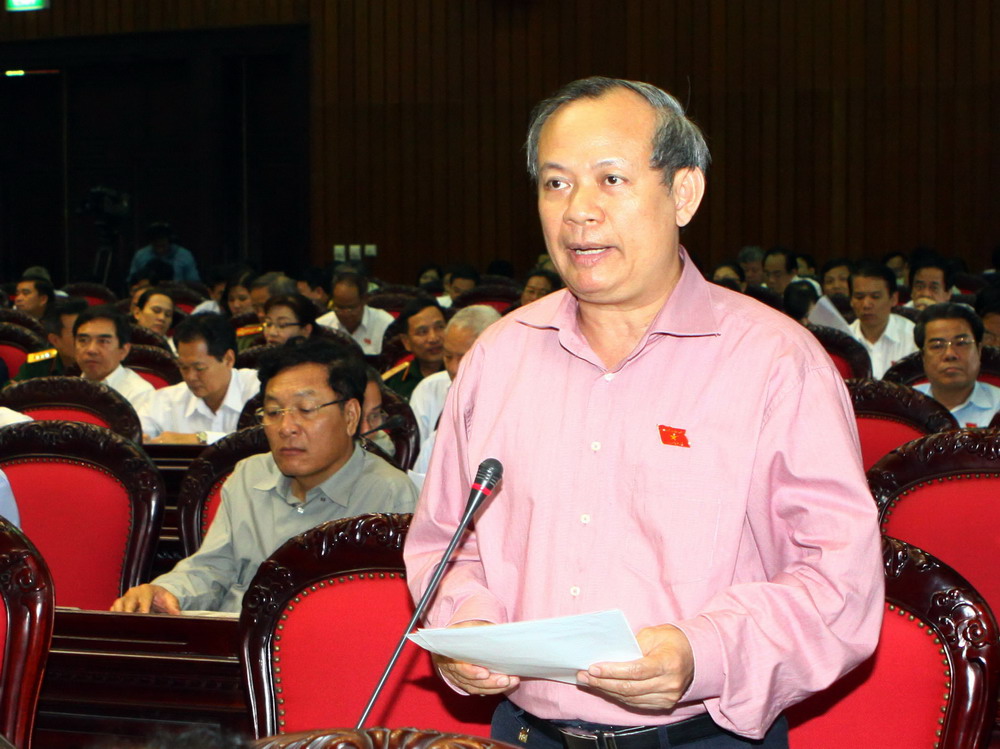 Đại biểu Đinh Xuân Thảo (đoàn Hà Nội)