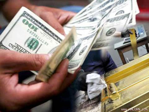 Tỷ giá sẽ theo diễn biến thị trường