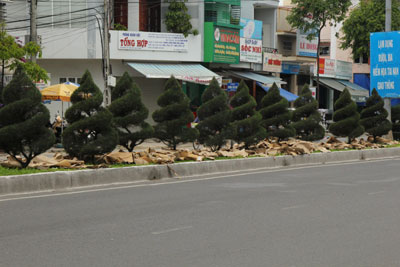 Dải phân cách trên đường 2-4, phường Vĩnh Hải, TP. Nha Trang (gần đoạn giao nhau với đường Đặng Tất) thường xuyên bị người dân vứt rác, đổ xà bần nên nhìn rất mất mỹ quan, bên cạnh đó còn tạo thêm gánh nặng cho những công nhân vệ sinh (xem ảnh). 