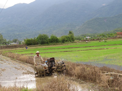 Chủ động chống hạn, xuống giống vụ Hè Thu