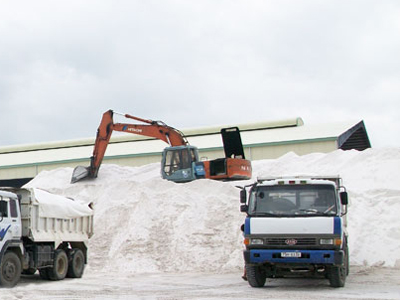 Đề nghị được xuất cát nhiễm mặn tận thu tại vịnh Cam Ranh