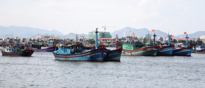 Tìm giải pháp cho tàu câu cá ngừ đại dương