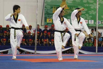 Taekwondo Việt Nam - bao giờ trở lại đỉnh cao?
