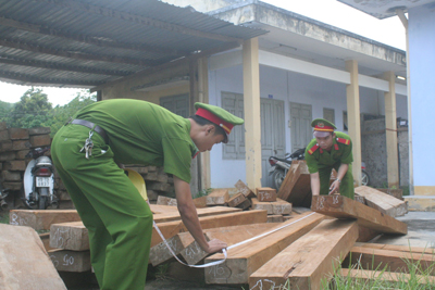 Có gì bất thường trong lực lượng bảo vệ rừng ở Khánh Vĩnh?