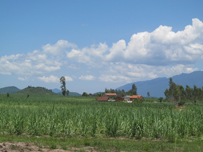 Trăn trở Suối Sim