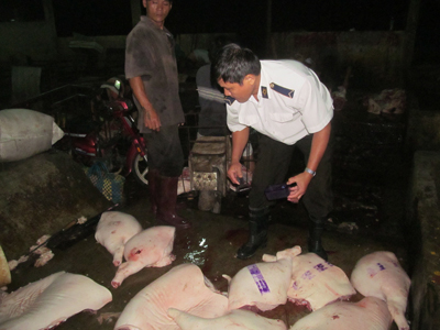 Giải pháp nào cho khu giết mổ tập trung?