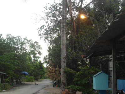 Cần điều chỉnh giờ tắt, mở đèn chiếu sáng cho phù hợp