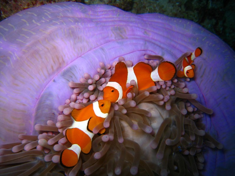 Yêu thương quay về