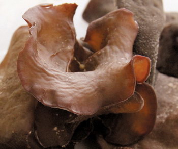 Chè mộc nhĩ chống ung thư, loãng xương