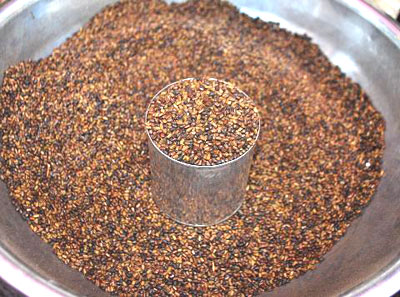 Hạt muồng ngủ chữa tăng huyết áp