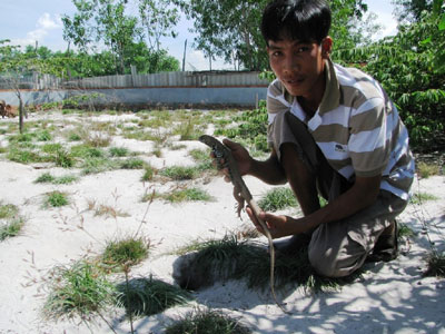 Anh Bảo bên con dông được 2 năm tuổi.