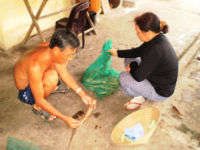 Về mùa hè, dông bán rất chạy nên thương lái luôn khát hàng.