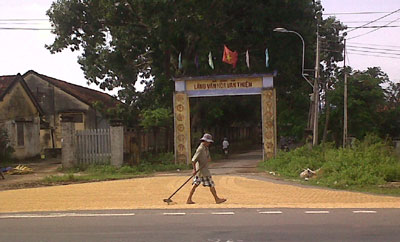 Đường thành sân phơi!