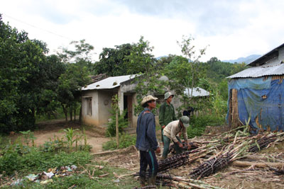 Sau khi bán đất, con, cháu của ông Bo Bo Năm Cà Xe chỉ còn biết đi làm thuê để kiếm thêm thu nhập.