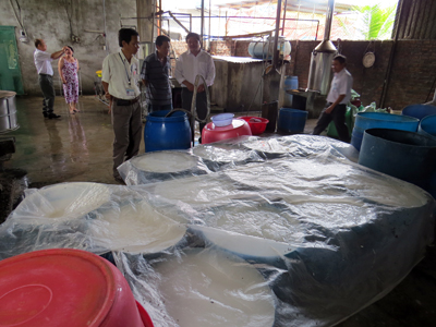 10 mẫu bún xét nghiệm đều không có chất tẩy trắng