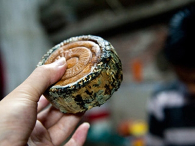 Cảnh giác khi mua bánh trung thu Trung Quốc