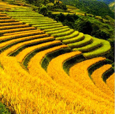 Sa Pa thị trấn trong mây