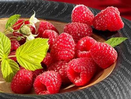 Công dụng từ các loại quả mọng