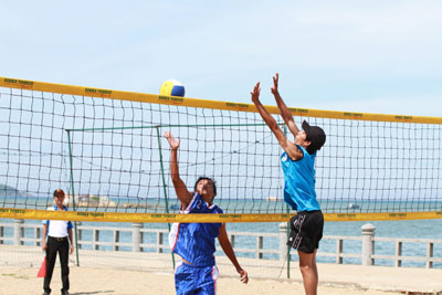 Chờ ngày khai hội