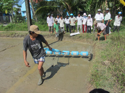 Giờ thực hành lớp kỹ thuật trồng lúa ở xã Ninh Quang (Ninh Hòa).