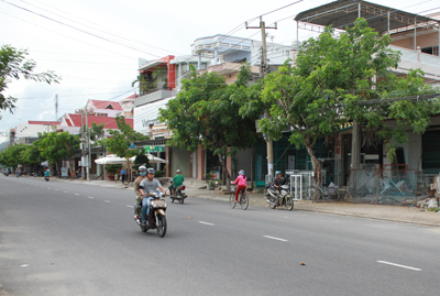 Một con đường của TP. Cam Ranh.