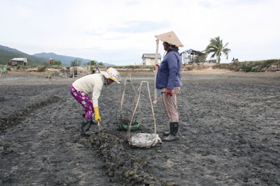 Bất chấp dịch bệnh, người dân xã Ninh Phú vẫn cải tạo lại ao đìa để tiếp tục thả nuôi tôm thẻ chân trắng mong vớt vát lại ít vốn.