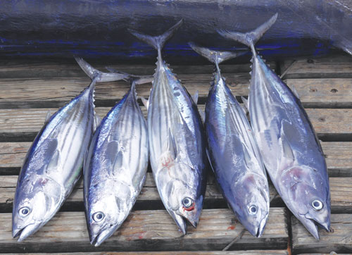 Thực phẩm không nên lạm dụng