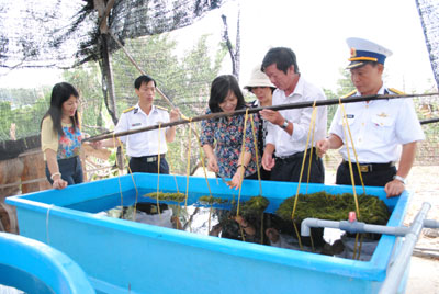 Thử nghiệm thành công mô hình trồng rong nho ở huyện Trường Sa  Báo Khánh  Hòa điện tử